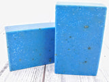 Blueberry Oatmeal Bar Soap